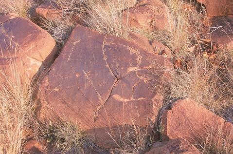 Open original Digital object