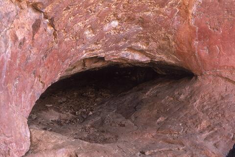 Open original Digital object