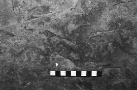 NMSA 03 3231P