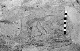 NMSA 03 6467P