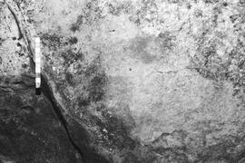 NMSA 03 4143P