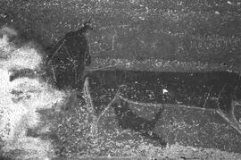 NMSA 03 7434P