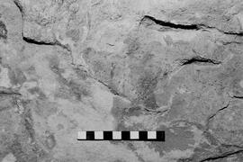 NMSA 03 6502P