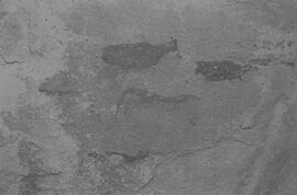 NMSA 03 8364P