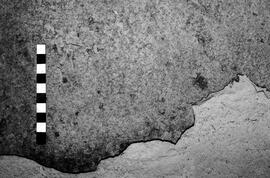 NMSA 03 3209P