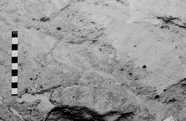NMSA 03 6259P