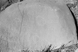 NMSA 03 7527P