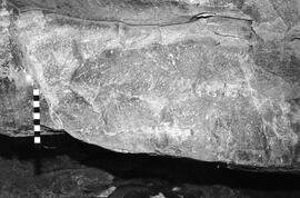 NMSA 03 4482P