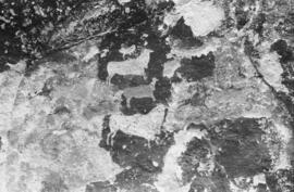NMSA 03 8892P