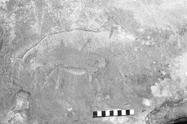 NMSA 03 1350P