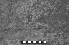 NMSA 03 6013P