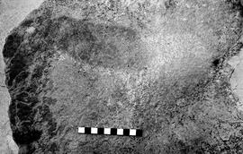 NMSA 03 3202P