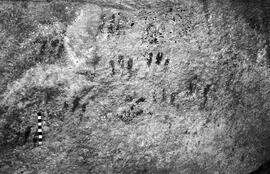NMSA 03 4165P