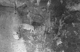 NMSA 03 240P