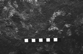 NMSA 03 2704P