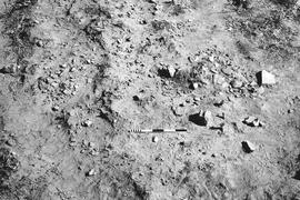 NMSA 03 716P