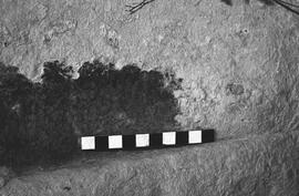 NMSA 03 2123P