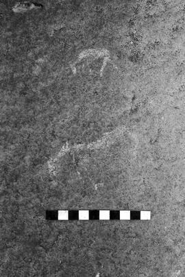 NMSA 03 4586P