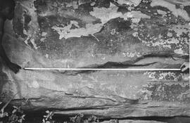 NMSA 03 187P