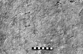 NMSA 03 6416P
