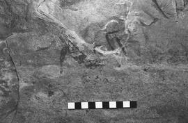 NMSA 03 5290P