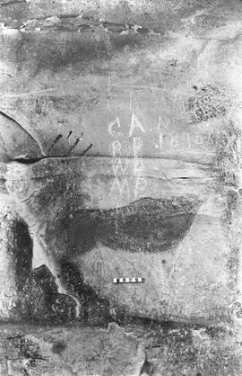 NMSA 03 1458P