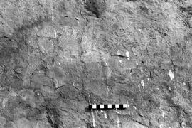 NMSA 03 4319P