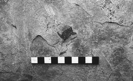 NMSA 03 3304P