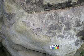 NMSA RSA LOM1 6D