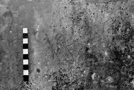 NMSA 03 4205P