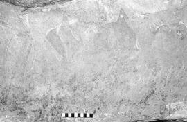 NMSA 03 1339P