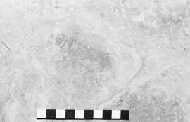 NMSA 03 1955P