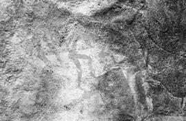 NMSA 03 7817P