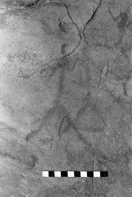 NMSA 03 6911P
