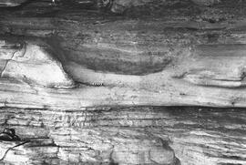 NMSA 03 171P