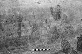 NMSA 03 5299P