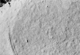 NMSA 03 8115P