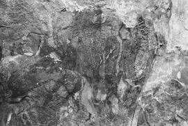 NMSA 03 7882P