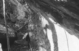 NMSA 03 5631P
