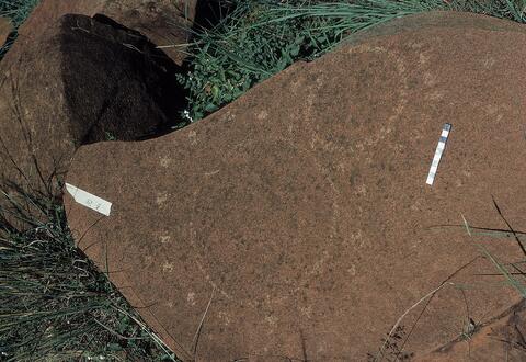 Open original Digital object