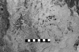 NMSA 03 4604P