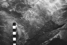 NMSA 03 4351P