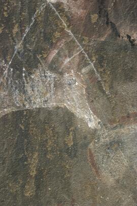 NMSA RSA GEO1 31D