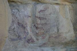 NMSA RSA MSA1 5D