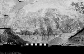 NMSA 03 4842P