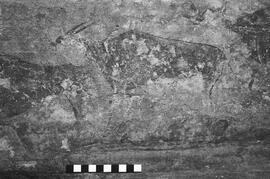 NMSA 03 7417P