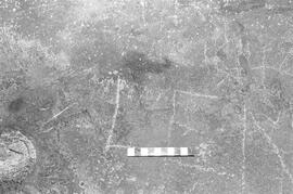 NMSA 03 1484P