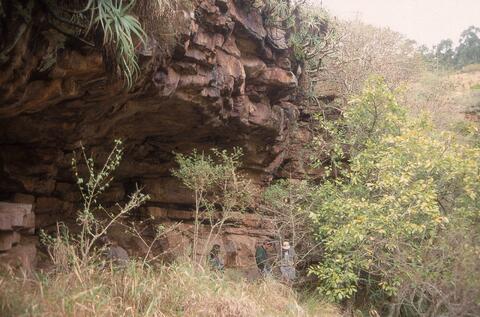 Open original Digital object