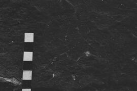 NMSA 03 8291P