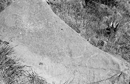 NMSA 03 7462P